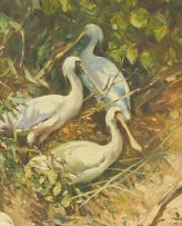 Heinrich von Michaelis; River Birds