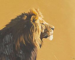 Ted (Tjeerd Adrianus Johannes) Hoefsloot; Lions