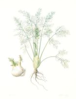 Graham Redgrave-Rust; Studies of Vegetables including Leek, Corn, Fennel and Aubergine