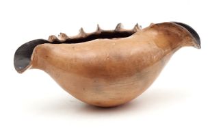 Nic Sithole; Shell-shaped vessel