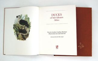 Maclean, Gordon Lindsay and Darrell, Gail; Ducks of Sub-Saharan Africa