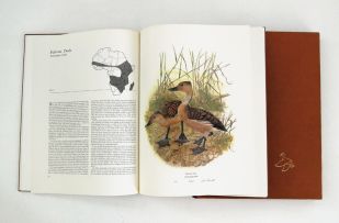 Maclean, Gordon Lindsay and Darrell, Gail; Ducks of Sub-Saharan Africa