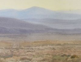 Walter Westbrook; Morning Light - Namaqualand