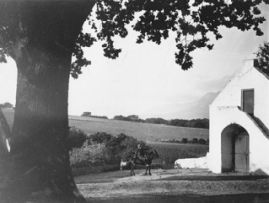 Edward Roworth; Laborie Wine Farm, Paarl