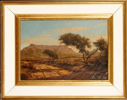 Tinus de Jongh; View of Table Mountain