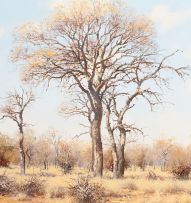 Francois Koch; Bushveld Landscape