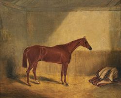 William Brocas; A Bay Horse
