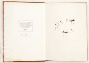 Calburn, Simon; Calburn's Birds of Southern Africa: paintings, field sketches and field notes
