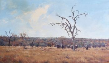 Francois Koch; Buffalo Herd