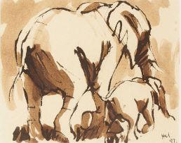 Hennie Niemann Jnr; Elephants