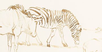 Zakkie Eloff; Zebras and Wildebeest