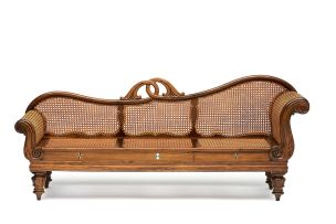 A Colonial rosewood and caned settee, 19th century
