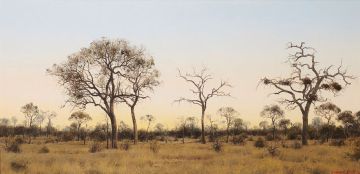 Francois Koch; Bushveld Landscape