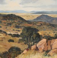 Eben van der Merwe; Free State Landscape