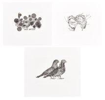 Gerhard Marx; Untitled (Hare); Unitled (Ribcage); Untitled (Pigeons), three