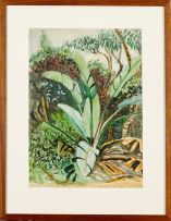 Edith King; Strelitzia