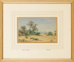 Erich Mayer; South African Landscape