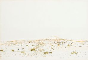 Nico Roos; Landscape