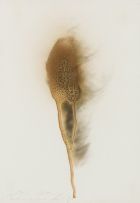 Christine von Huetz-Davisson; Abstract Feather