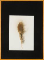 Christine von Huetz-Davisson; Abstract Feather