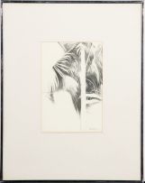 Andrew Verster; Palm Fronds