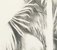 Andrew Verster; Palm Fronds