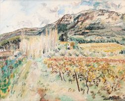 Enslin du Plessis; A View of a Vineyard