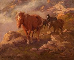 Allerley Glossop; Ponies in the Drakensberg