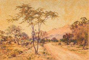 Erich Mayer; Bushveld Roadway
