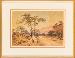 Erich Mayer; Bushveld Roadway