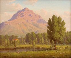 Jan Ernst Abraham Volschenk; The Stellenbosch Mountain