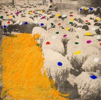 Menashe Kadishman; Sheep Portfolio 6
