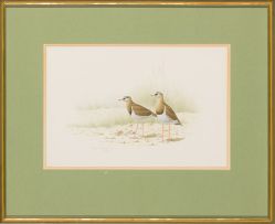 Simon Calburn; Whistling Duck and Crowned Plover, two