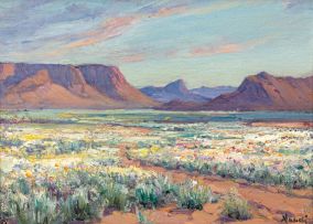 Hugo Naudé; Namaqualand Landscape