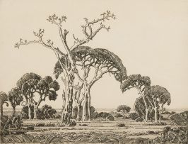 Jacob Hendrik Pierneef; Doringbome, Bushveld, Northern Transvaal