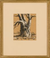 Otto Klar; Baobab Tree, Northern Transvaal