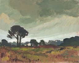 Piet van Heerden; Landscape