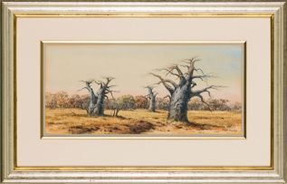 Otto Klar; Baobabs