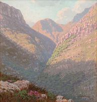 Jan Ernst Abraham Volschenk; A Mountain Kloof, South Africa
