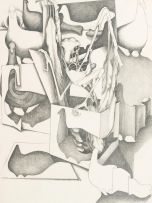 Cecily Sash; Composition with Buzzard Skeleton and Birds