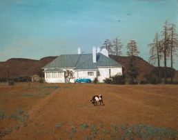 Walter Meyer; Midday on the Highveld
