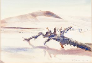 Ulrich Schwanecke; Desert Landscape