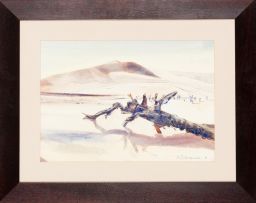 Ulrich Schwanecke; Desert Landscape