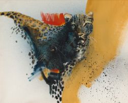 Keith Joubert; Leopard
