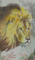 Zakkie Eloff; Lion