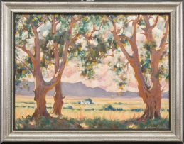 Sydney Carter; Trees near Knysna