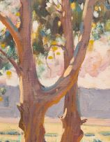 Sydney Carter; Trees near Knysna