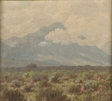 Jan Ernst Abraham Volschenk; Bright Clouds (Riversdale)