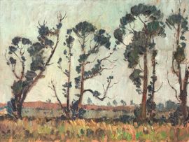 Piet van Heerden; Windswept Trees
