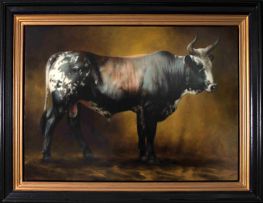 Jaco van Schalkwyk; Nguni Bull